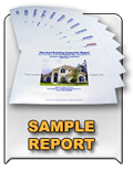 sample report